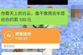 宝应县要账公司更多成功案例详情